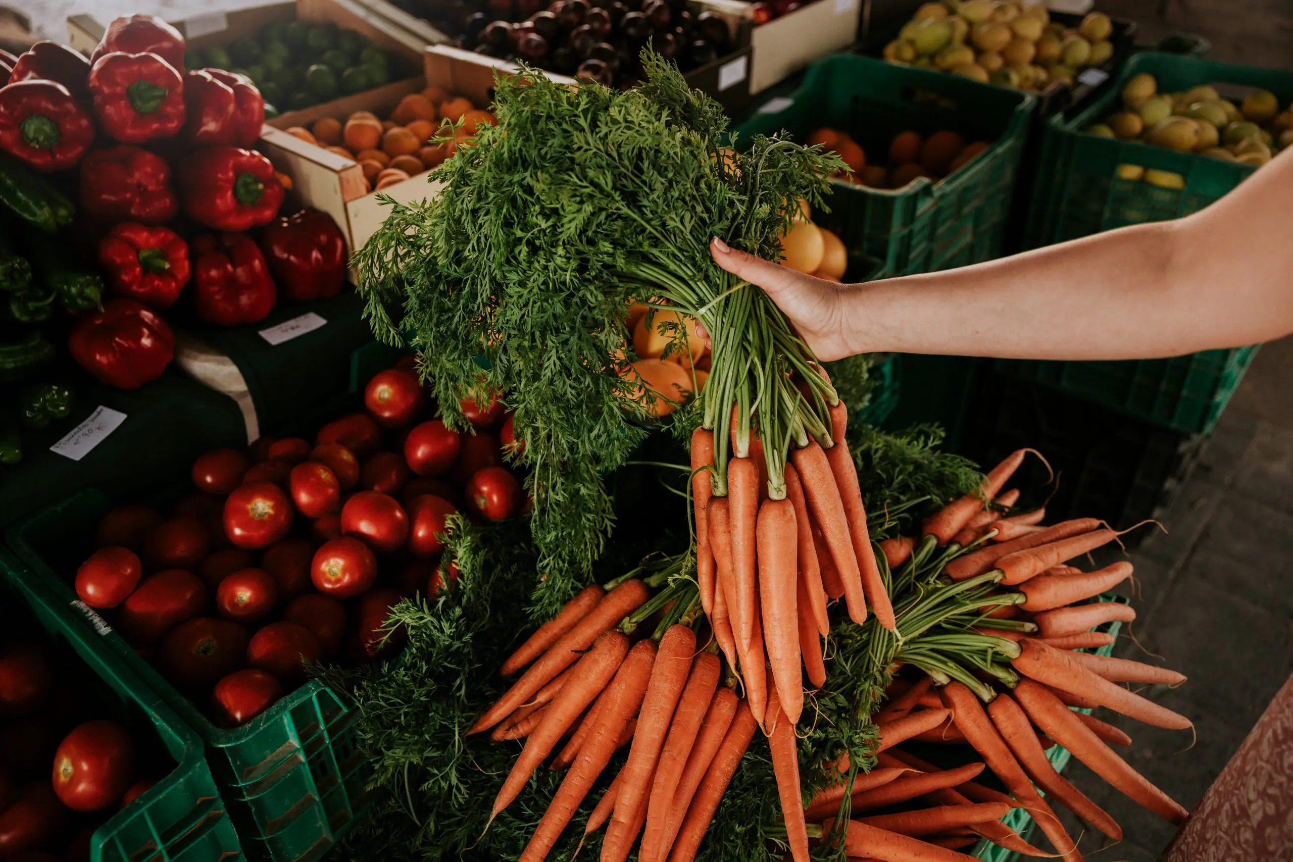 Verduras ecológicas